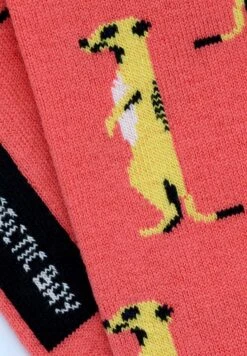 MOVING UP EDITION 2 PACK UNISEX - Sokken -Herenkleding Verkoopwinkel 82b524c327cd426f86caa0aacbf5cb2f