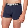 Chiemsee 3ER PACK FÜR - Boxershort