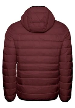 Champion HOODED - Winterjas